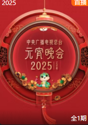 2025年中央广播电视总台元宵晚会